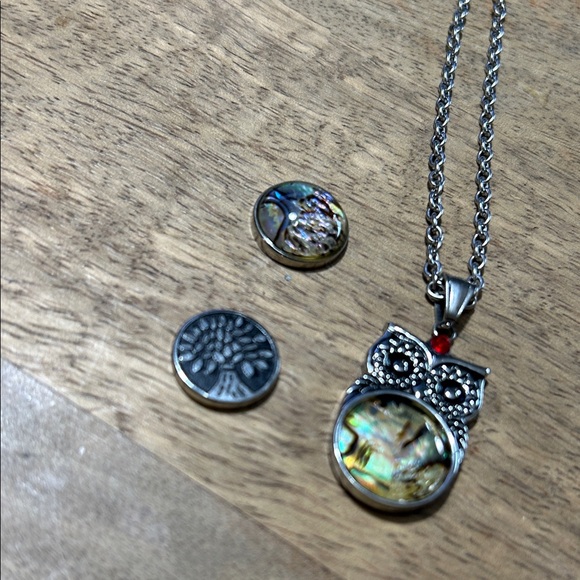 Silver Owl Pendant Necklace with magnetic switch outs - Picture 4 of 11